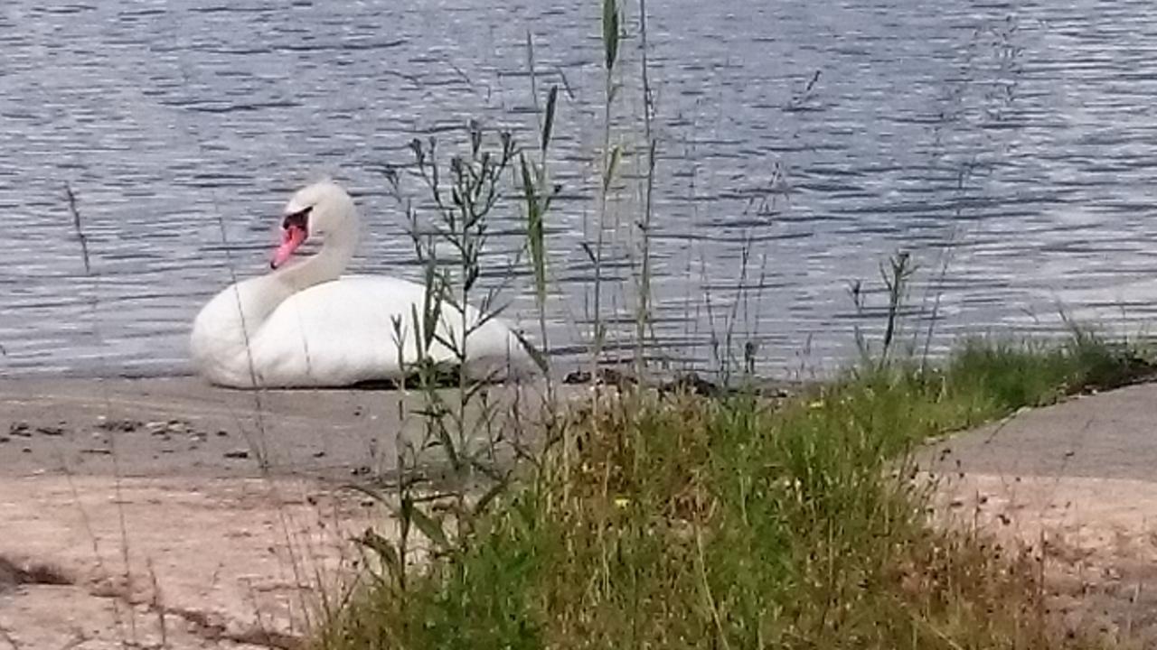 Hotel Salno Gard Bylehamn Zewnętrze zdjęcie